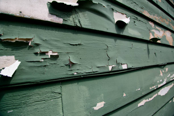 Best Siding for New Construction  in Bethpage, NY